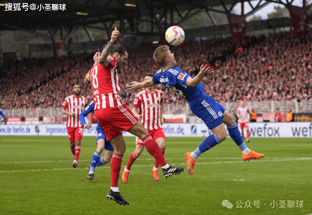 今晨突围战来临，里尔围绕法甲遗憾出局，媒体盛赞，资深球员宣示担当