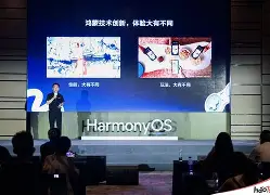 半岛体育在线官网-赛地聚焦——德甲窗口期热度飙升，达拉斯独行侠迎来里程碑，引发热议，轮换策略成焦点